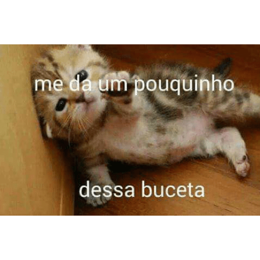 Cantadas 18+ 4