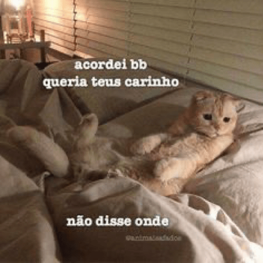 Cantadas 18+ 15