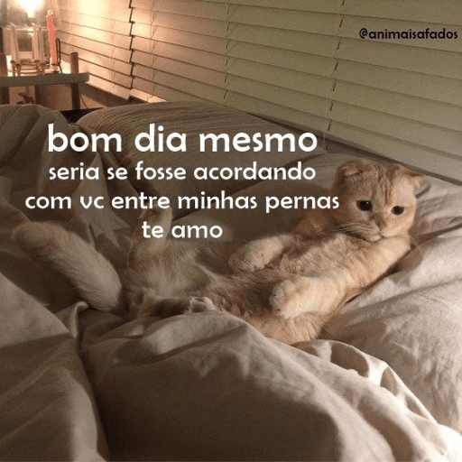 Cantadas 18+ 8