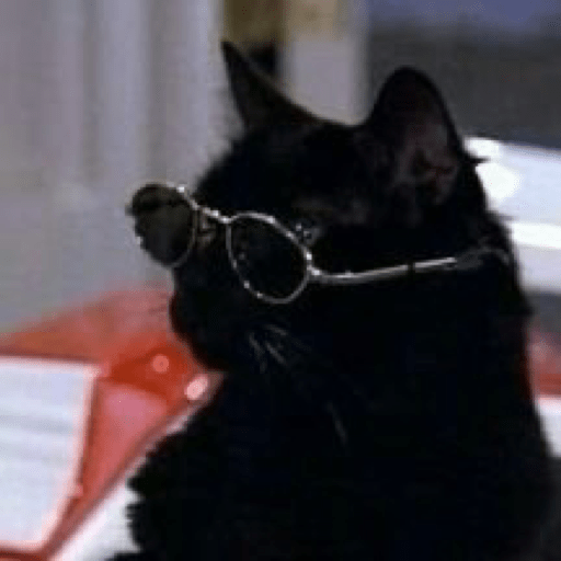 Gatinhos  24