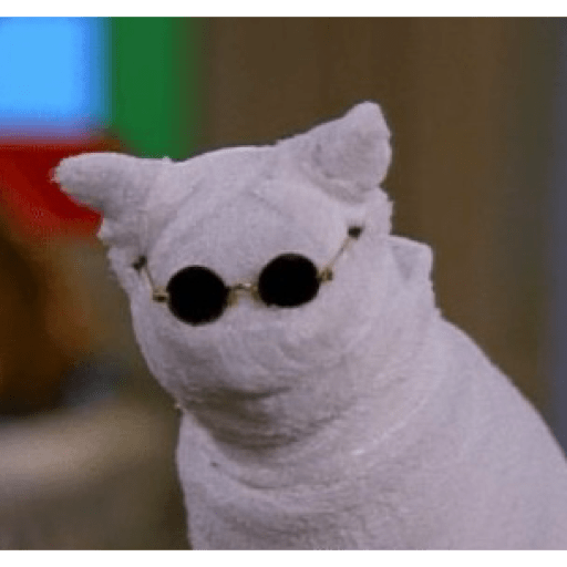 Gatinhos  25