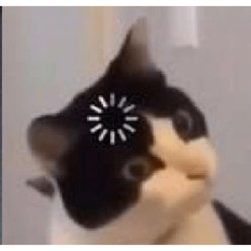 Gatinhos  7