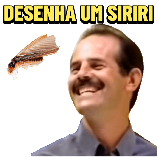 Novo 14