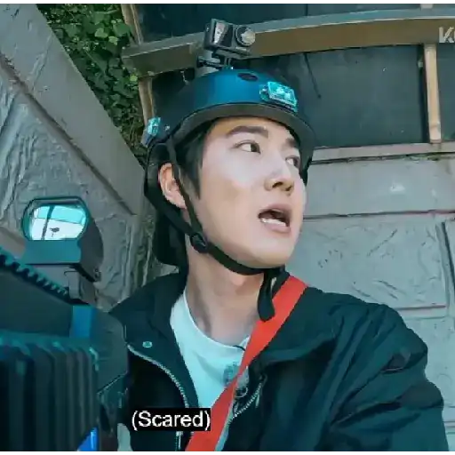 TRAVEL THE WORLD EXO LADDER S4 16