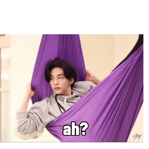 Straykids:) 1