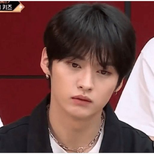 Straykids:) 10