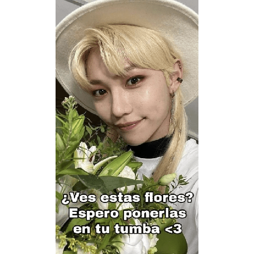 Straykids:) 18