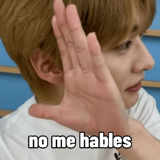Straykids:) 9