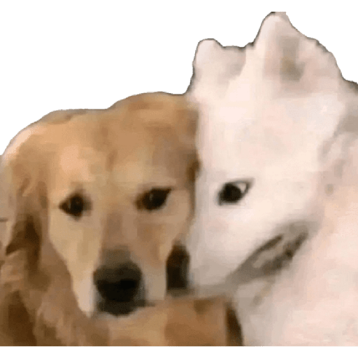 Jajaa  3