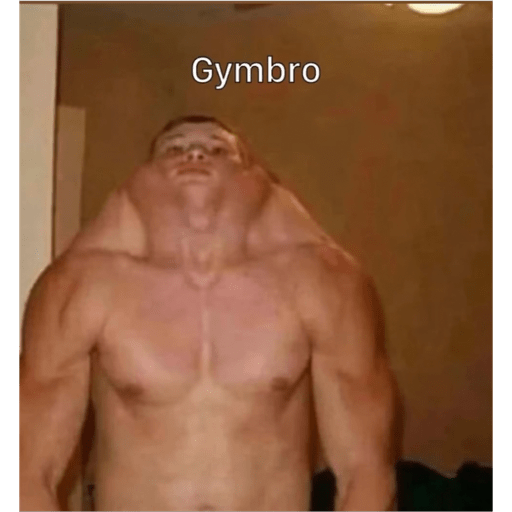 Memes memeros Vol. 2 