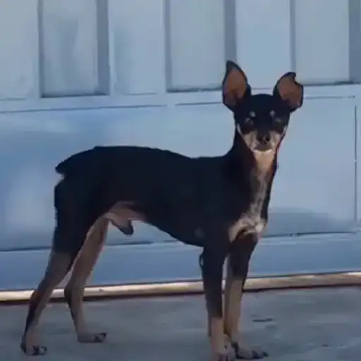 Videos1 10