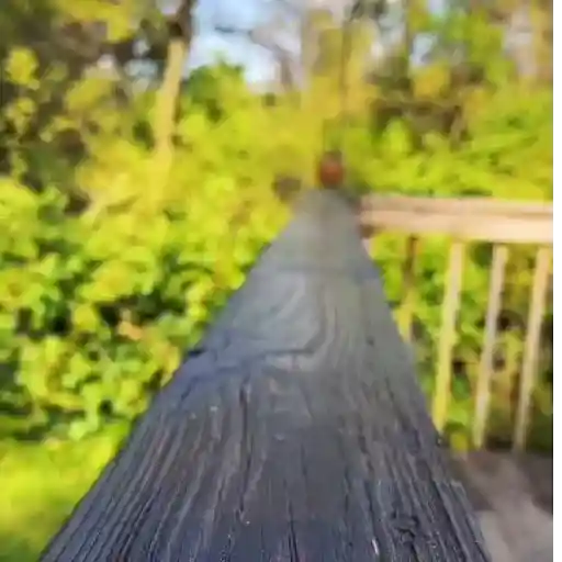 Videos1 29