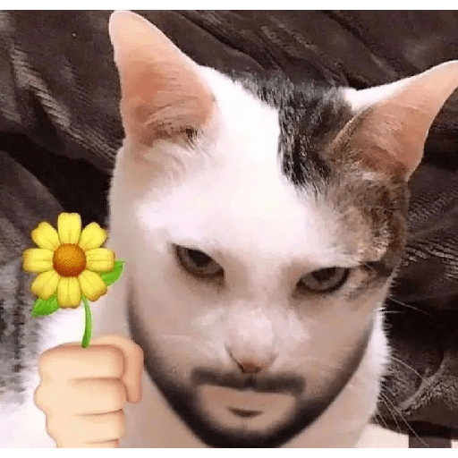 545762631.png.png