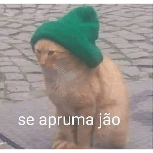 Novas kkk 29