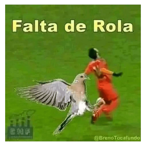 Novas kkk 16