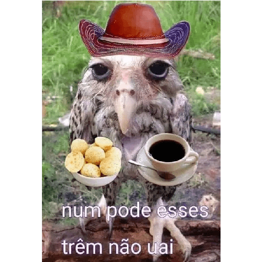 Novas kkk 7
