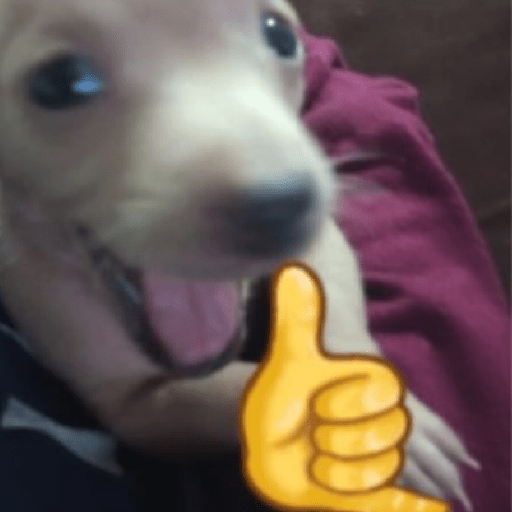 A chata vai falar