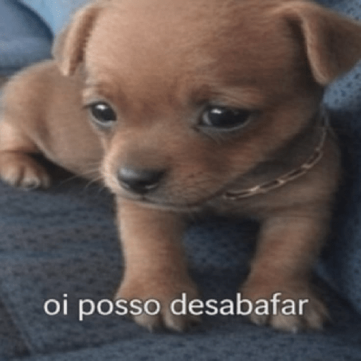 A chata vai falar