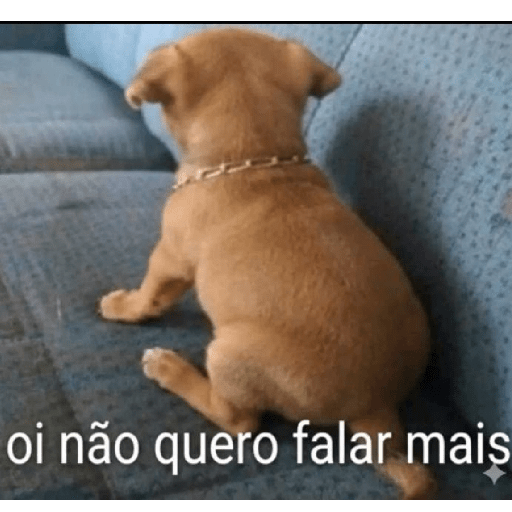 A chata vai falar