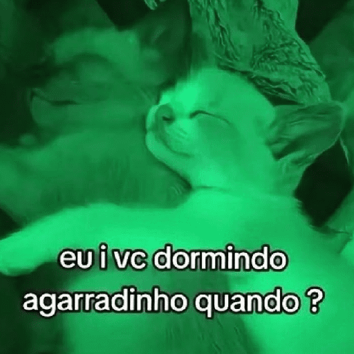 Presenteie sua mulher 7