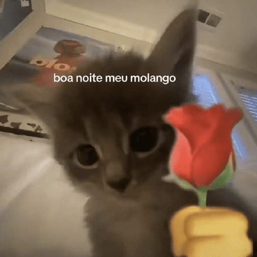 Presenteie sua mulher 6