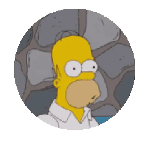 Homero Simpson ⭐✨
