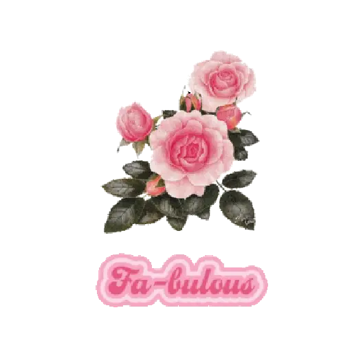 🌸💞 Rosita 💞🌸