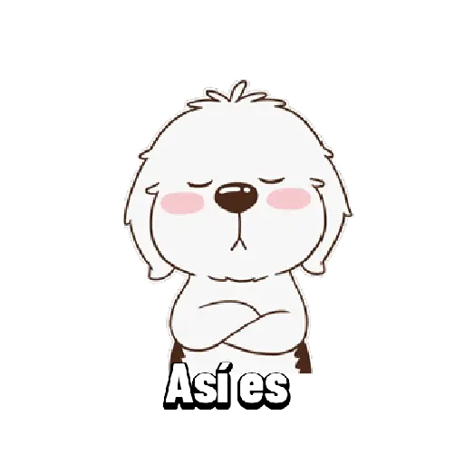 Perrito blanco 🤍🐩