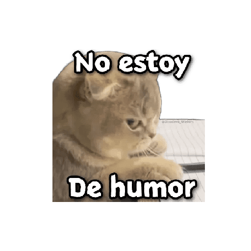 Memes de tu gusto 😜😍