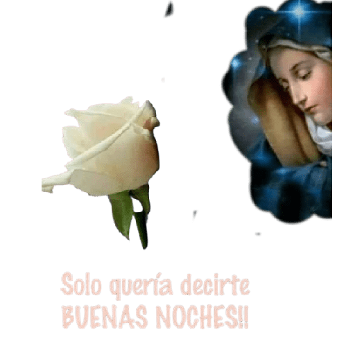 Vírgen de Guadalupe 😇✨