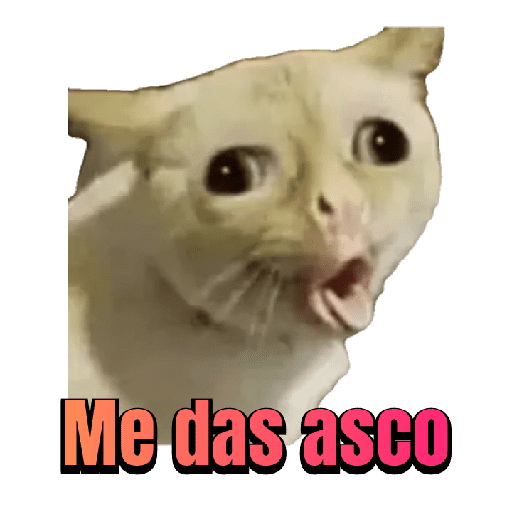 Gatito sacando la lengua 😜😺