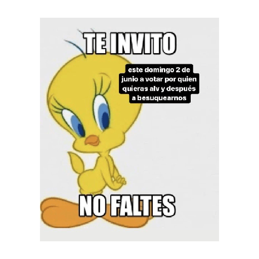 Elecciones 2024 (Memes) 🇲🇽🗳️
