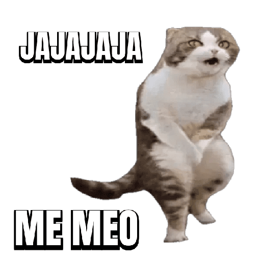 Memes pal' grupo 👥⭐ 38