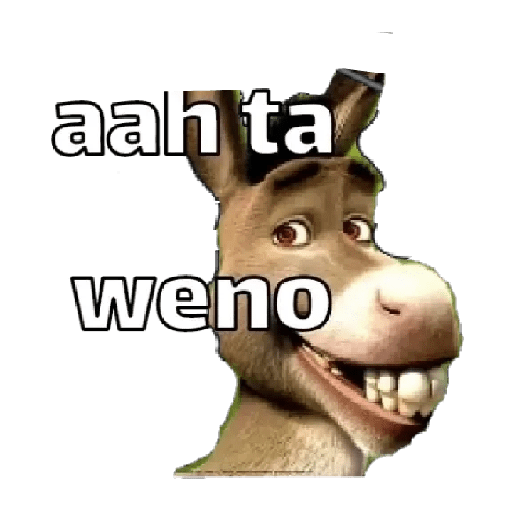 Memes pal' grupo 👥⭐ 48