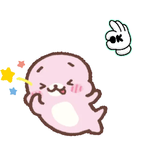 Foca cute 🦭❤️ 13
