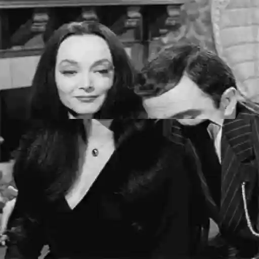 Pareja Addams 14