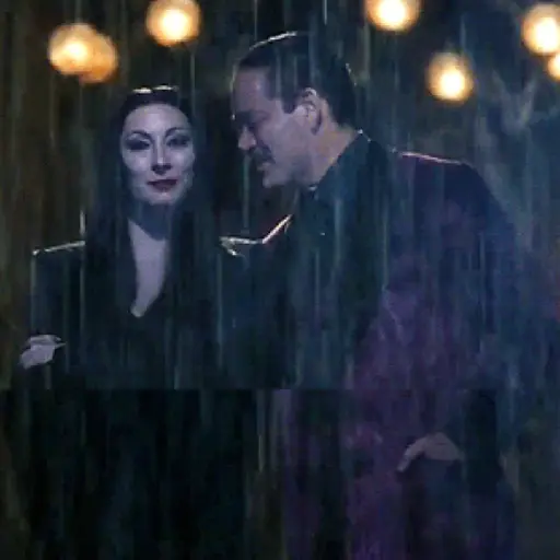 Pareja Addams 25