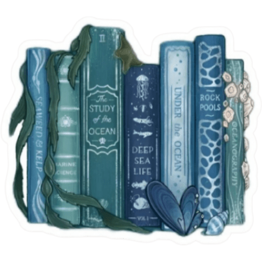 Libros  24
