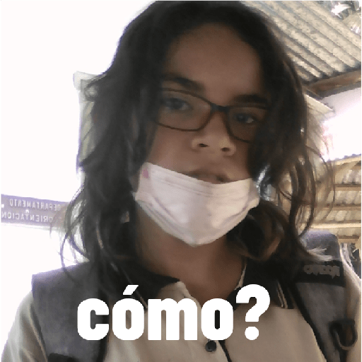 LOS PENDEJOS