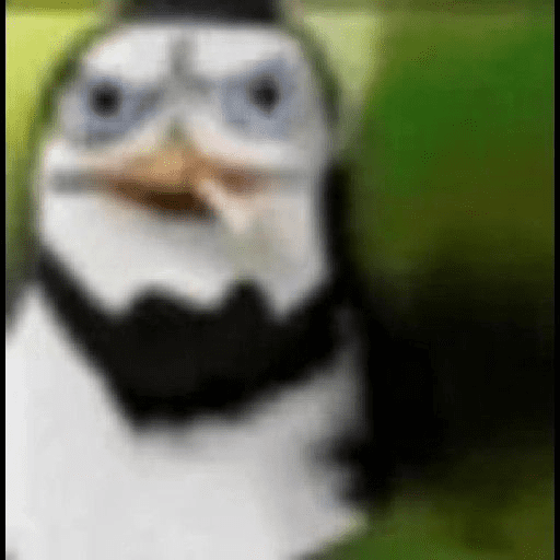 Tik tok 23
