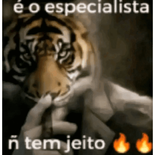 Tik tok 6