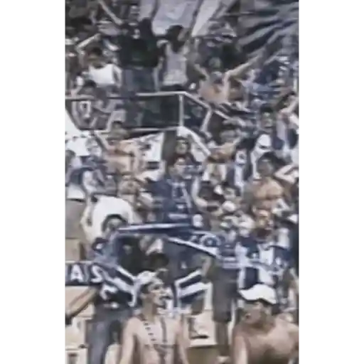 FCPorto 13