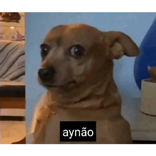 Aaaa 16