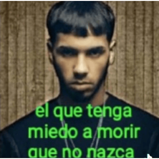 <333