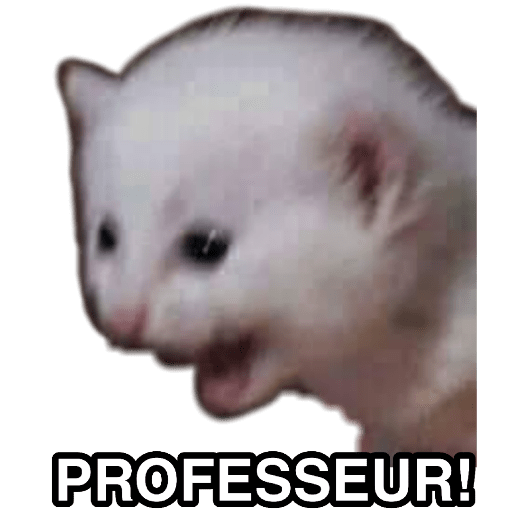 Monsieur langues