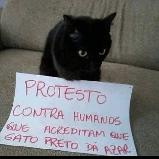 Cachorros e gatos fofos 5