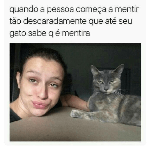 Cachorros e gatos fofos 7