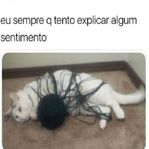 Cachorros e gatos fofos 11
