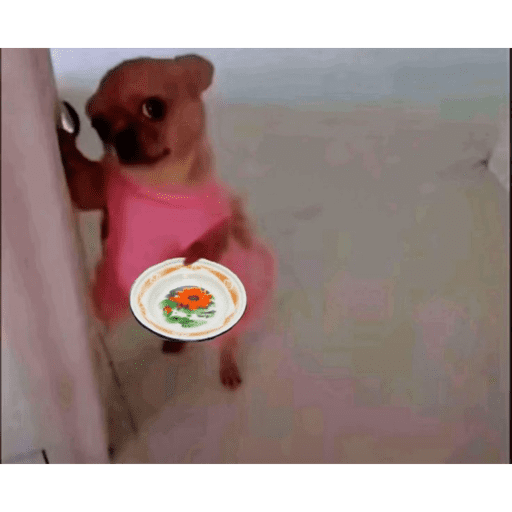 El Presto Mamuyo 10