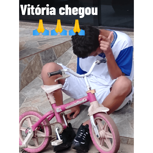 Minhas figurinhas